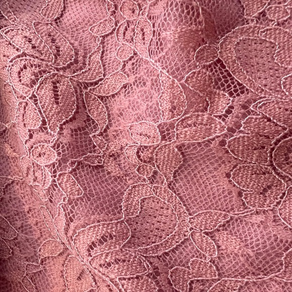 Wild Love | Dusty Rose Lace Babydoll Top‎ XL Cottagecore Romantic Y2K - Picture 5 of 7
